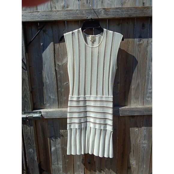 Torn by Ronny Kobo Beth Sleeveless Dress Small Silver Metallic Stripes White - Picture 2 of 5
